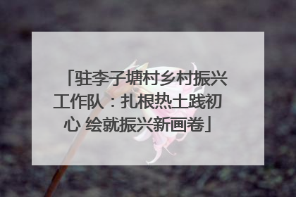 驻李子塘村乡村振兴工作队：扎根热土践初心 绘就振兴新画卷