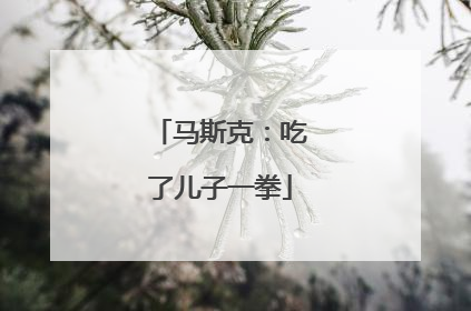 马斯克：吃了儿子一拳