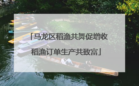 马龙区稻渔共舞促增收 稻渔订单生产共致富