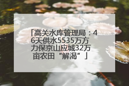 高关水库管理局：46天供水5535万方 力保京山应城32万亩农田“解渴”