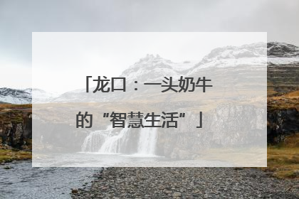 龙口：一头奶牛的“智慧生活”
