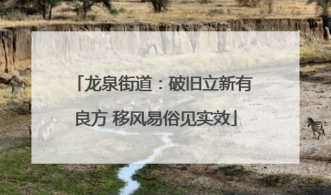 龙泉街道：破旧立新有良方 移风易俗见实效