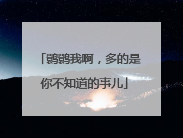 鹮鹮我啊，多的是你不知道的事儿