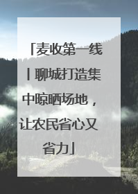 麦收第一线丨聊城打造集中晾晒场地，让农民省心又省力