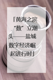 黄海之滨“数”立潮头——盐城数字经济崛起进行时