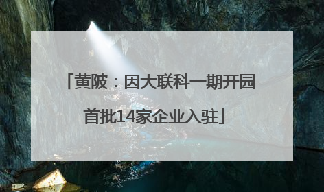 黄陂：因大联科一期开园 首批14家企业入驻
