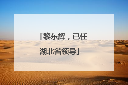 黎东辉，已任湖北省领导
