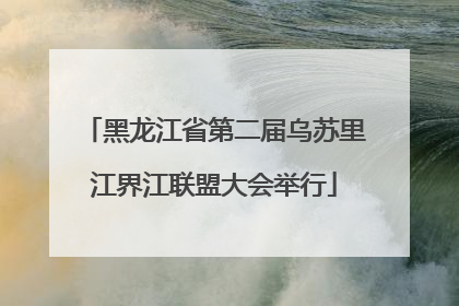 黑龙江省第二届乌苏里江界江联盟大会举行