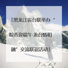 黑龙江省台联举办“粽香迎端午·龙台情相融”交流联谊活动