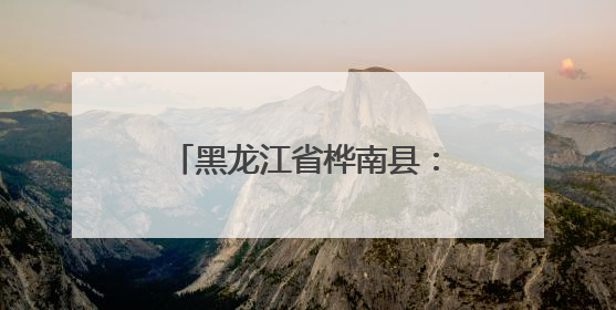 黑龙江省桦南县：“蒜”出振兴路 “园”梦新乡村