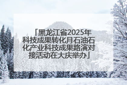 黑龙江省2025年科技成果转化月石油石化产业科技成果路演对接活动在大庆举办