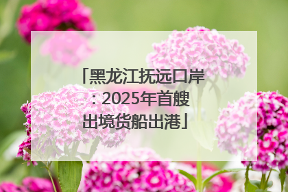 黑龙江抚远口岸：2025年首艘出境货船出港