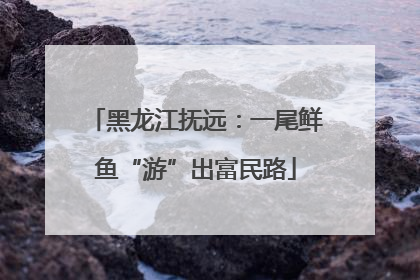 黑龙江抚远：一尾鲜鱼“游”出富民路