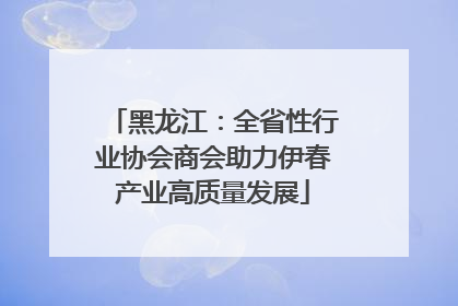 黑龙江：全省性行业协会商会助力伊春产业高质量发展