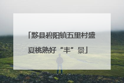 黟县碧阳镇五里村盛夏桃熟好“丰”景