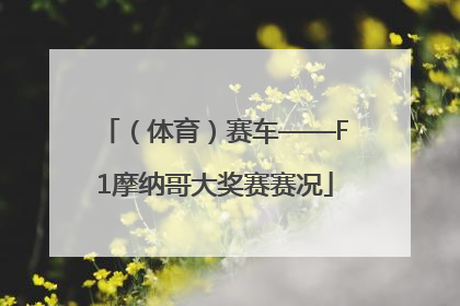 （体育）赛车——F1摩纳哥大奖赛赛况