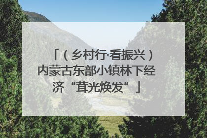 （乡村行·看振兴）内蒙古东部小镇林下经济“茸光焕发”