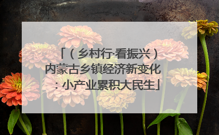 （乡村行·看振兴）内蒙古乡镇经济新变化：小产业累积大民生