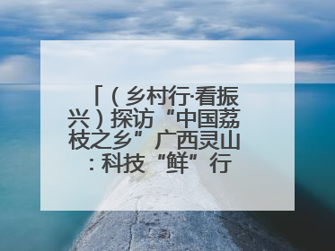 （乡村行·看振兴）探访“中国荔枝之乡”广西灵山：科技“鲜”行 实“荔”C位