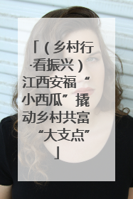 （乡村行·看振兴）江西安福“小西瓜”撬动乡村共富“大支点”