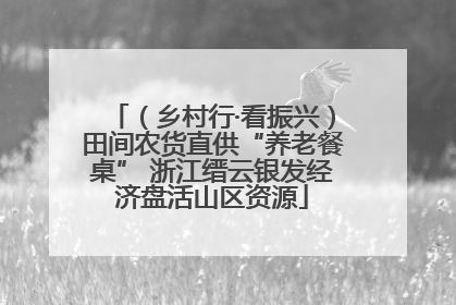 （乡村行·看振兴）田间农货直供“养老餐桌” 浙江缙云银发经济盘活山区资源