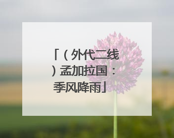 （外代二线）孟加拉国：季风降雨