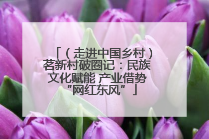 （走进中国乡村）茗新村破圈记：民族文化赋能 产业借势 “网红东风”