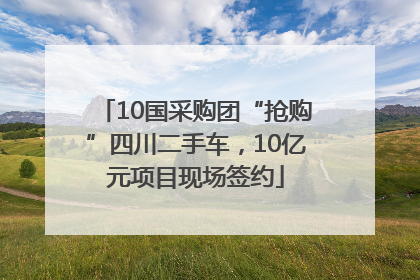 10国采购团“抢购”四川二手车，10亿元项目现场签约