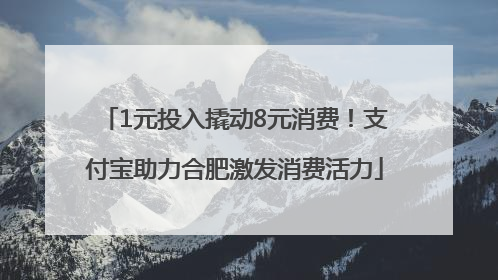 1元投入撬动8元消费！支付宝助力合肥激发消费活力