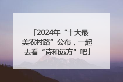 2024年“十大最美农村路”公布，一起去看“诗和远方”吧