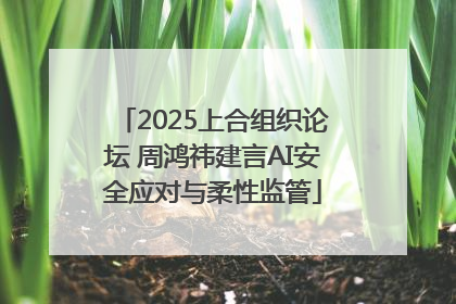 2025上合组织论坛 周鸿祎建言AI安全应对与柔性监管