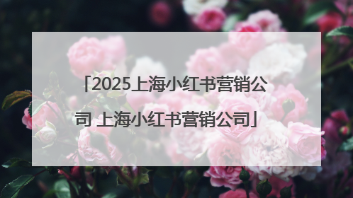 2025上海小红书营销公司 上海小红书营销公司