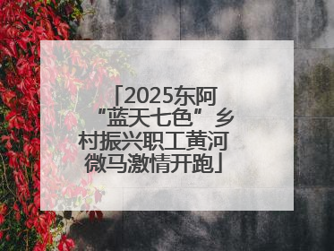 2025东阿“蓝天七色”乡村振兴职工黄河微马激情开跑