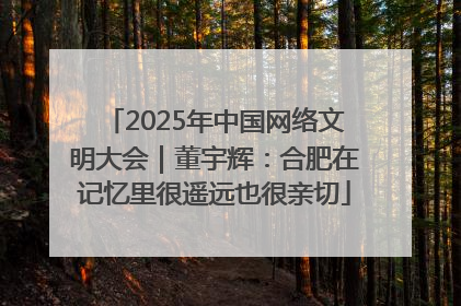 2025年中国网络文明大会｜董宇辉：合肥在记忆里很遥远也很亲切