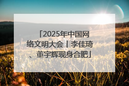 2025年中国网络文明大会丨李佳琦、董宇辉现身合肥