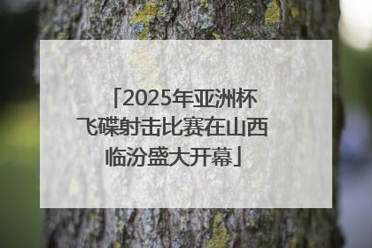 2025年亚洲杯飞碟射击比赛在山西临汾盛大开幕