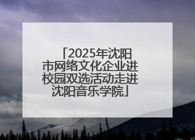 2025年沈阳市网络文化企业进校园双选活动走进沈阳音乐学院