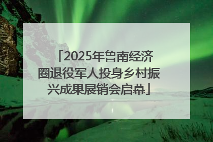 2025年鲁南经济圈退役军人投身乡村振兴成果展销会启幕