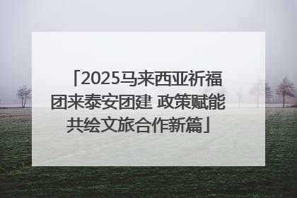 2025马来西亚祈福团来泰安团建 政策赋能共绘文旅合作新篇