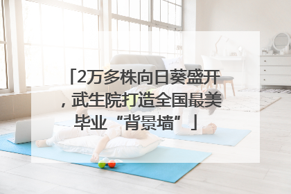 2万多株向日葵盛开，武生院打造全国最美毕业“背景墙”