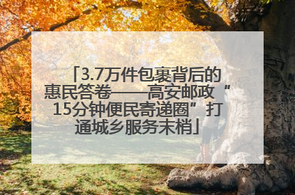 3.7万件包裹背后的惠民答卷——高安邮政“15分钟便民寄递圈”打通城乡服务末梢