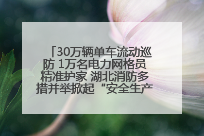 30万辆单车流动巡防 1万名电力网格员精准护家 湖北消防多措并举掀起“安全生产月”宣传热潮