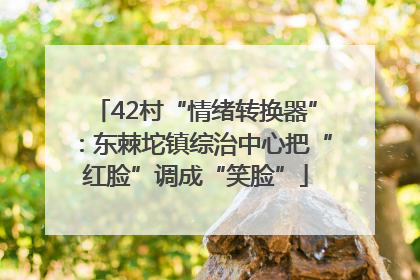 42村“情绪转换器”：东棘坨镇综治中心把“红脸”调成“笑脸”