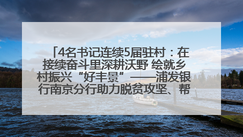 4名书记连续5届驻村：在接续奋斗里深耕沃野 绘就乡村振兴“好丰景”——浦发银行南京分行助力脱贫攻坚、帮促乡村振兴记事（二）