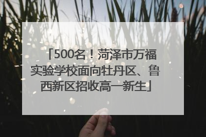 500名！菏泽市万福实验学校面向牡丹区、鲁西新区招收高一新生