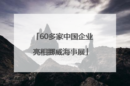 60多家中国企业亮相挪威海事展