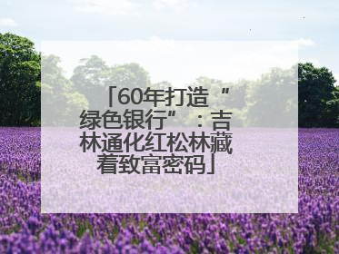 60年打造“绿色银行”：吉林通化红松林藏着致富密码