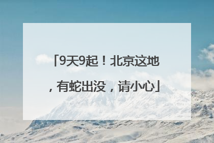 9天9起！北京这地，有蛇出没，请小心