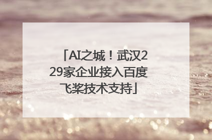 AI之城！武汉229家企业接入百度飞桨技术支持