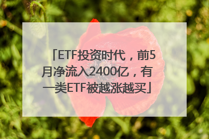 ETF投资时代，前5月净流入2400亿，有一类ETF被越涨越买